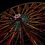 DCP_8479.JPG