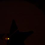 DCP_5987.JPG