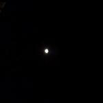 Backyard Night Pictures