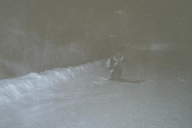 brant_20ditching.jpg