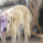 DSCF2766.JPG