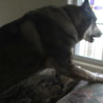 DSCF2811.JPG