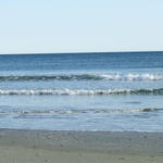DSCF0124.JPG