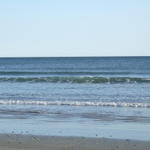 DSCF0129.JPG