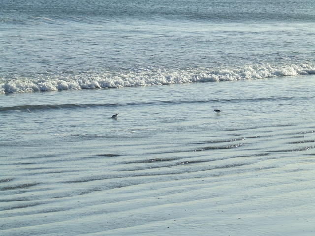DSCF0160.JPG