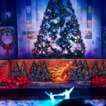 DCP_3357.JPG