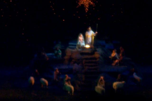 DCP_3373.JPG