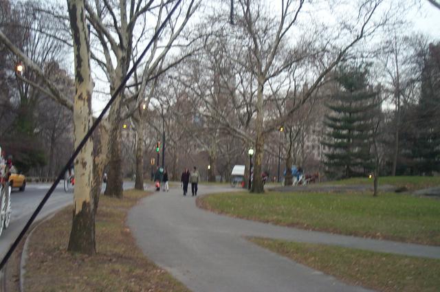 DCP_3391.JPG