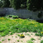 DSCF0267.JPG
