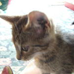 DSCF0744.JPG