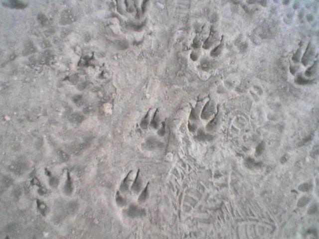 Picture002.jpg