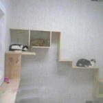 pic23.jpg