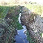 DSCF2147.JPG