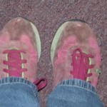 DSCF2869.JPG
