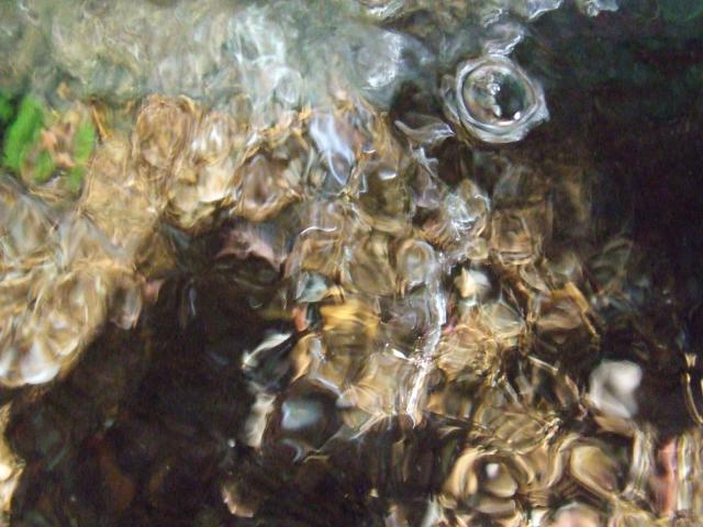 DSCF3081.JPG
