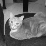 DSCF3585