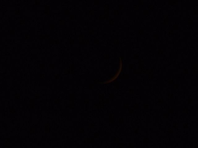 DSCF4847