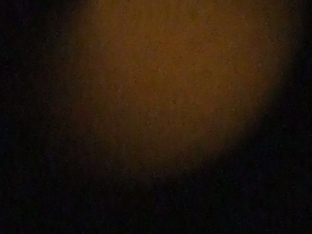 DSCF4857