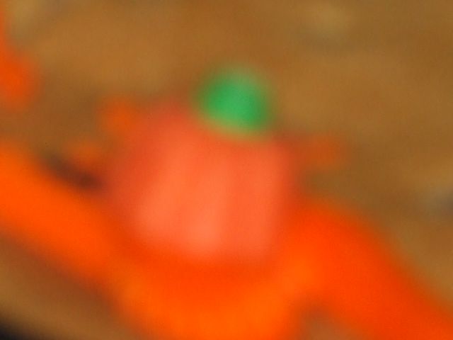 DSCF5709