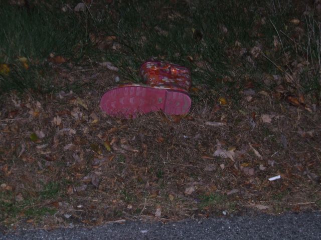 DSCF5902