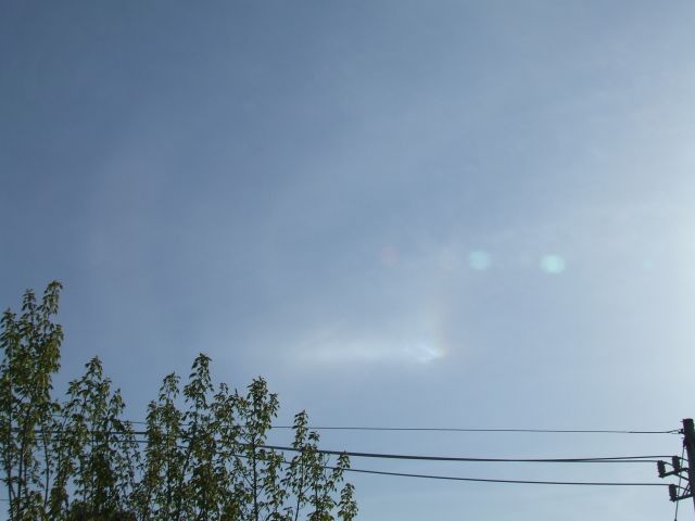 DSCF6736