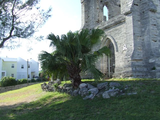 DSCF8169.JPG