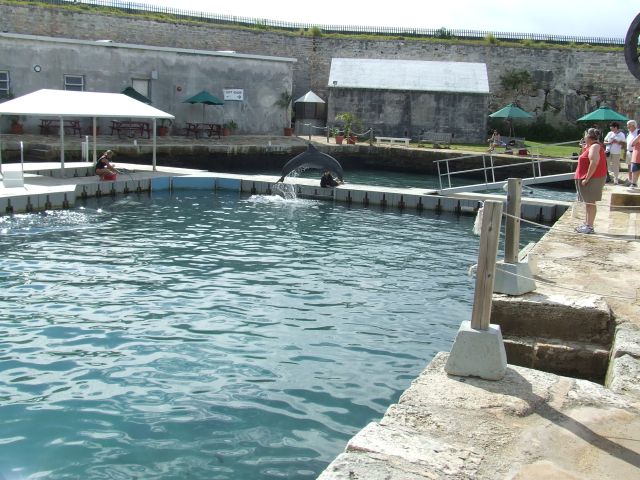 DSCF8387.JPG