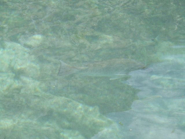 DSCF8399.JPG