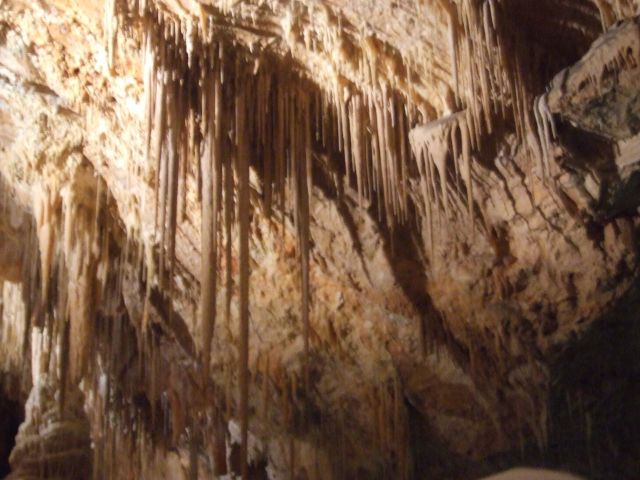 DSCF8565.JPG