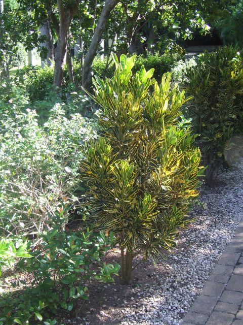DSCF8631.JPG
