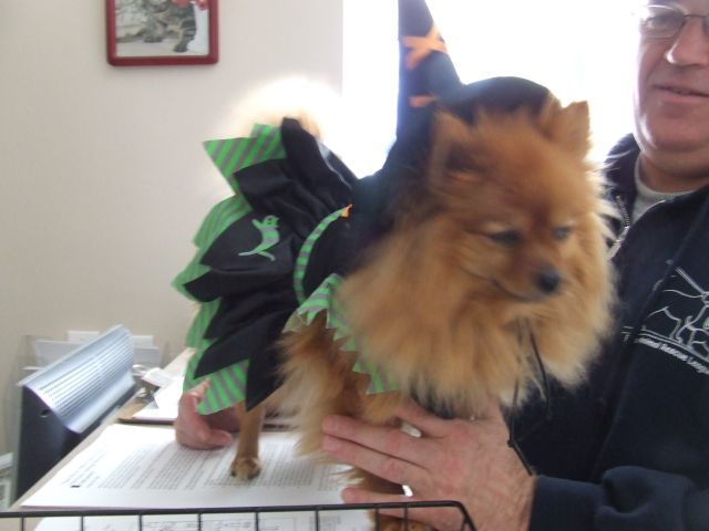 DSCF9134.JPG