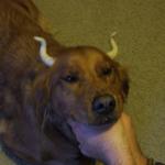 DSCF9149.JPG