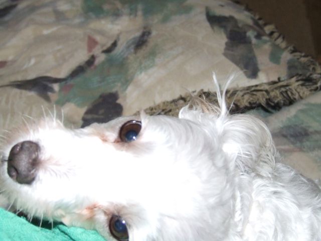 DSCF9264.JPG