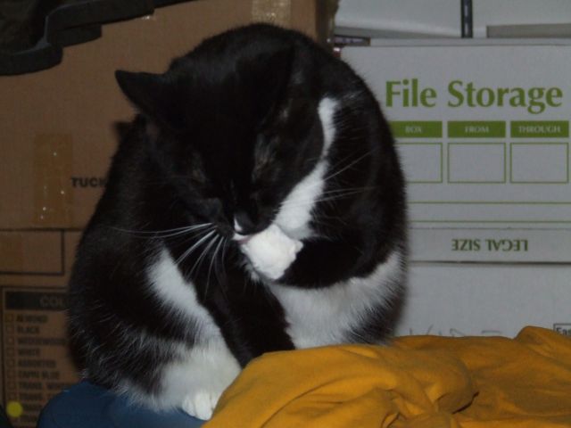 DSCF9353.JPG