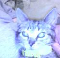 050207211330.jpg