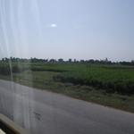 DSCF1428