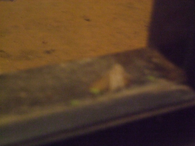 DSCF3151