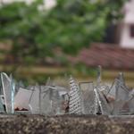 DSCF1707