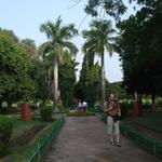 DSCF3600