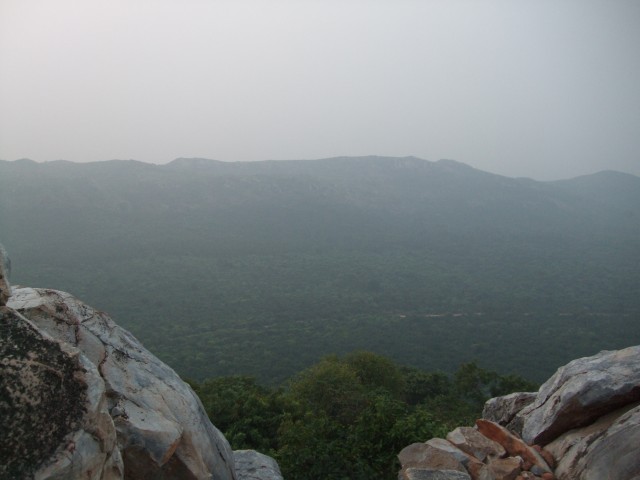 DSCF3670