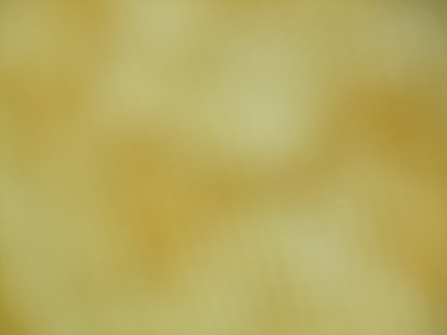 DSCF3963