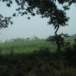 DSCF3987